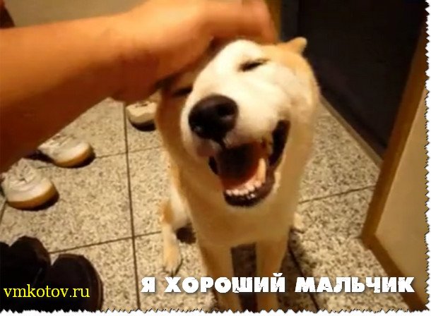 Как попасть в ТОП YouTube
